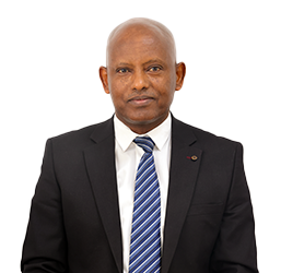 Mr. Getaneh Abera